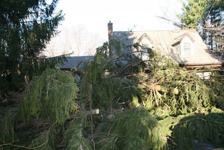 Storm Damage in the Rhinebeck/Sepasco lake and Villiage Area, Dutchess County, NY