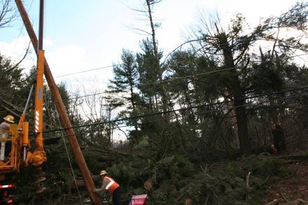 Rhinebeck Area Storm Damage