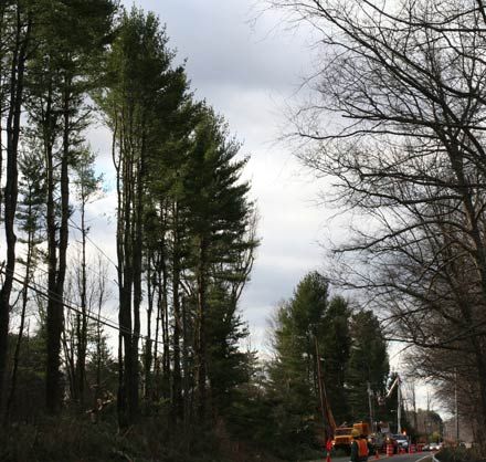Rhinebeck Area Storm Damage