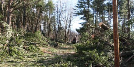 Rhinebeck Area Storm Damage
