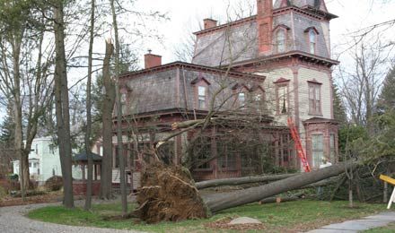 Rhinebeck Area Storm Damage