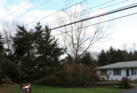 Rhinebeck Area Storm Damage