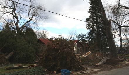 Rhinebeck Area Storm Damage