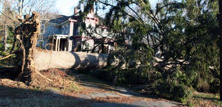 Rhinebeck Area Storm Damage