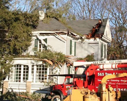 Rhinebeck Area Storm Damage